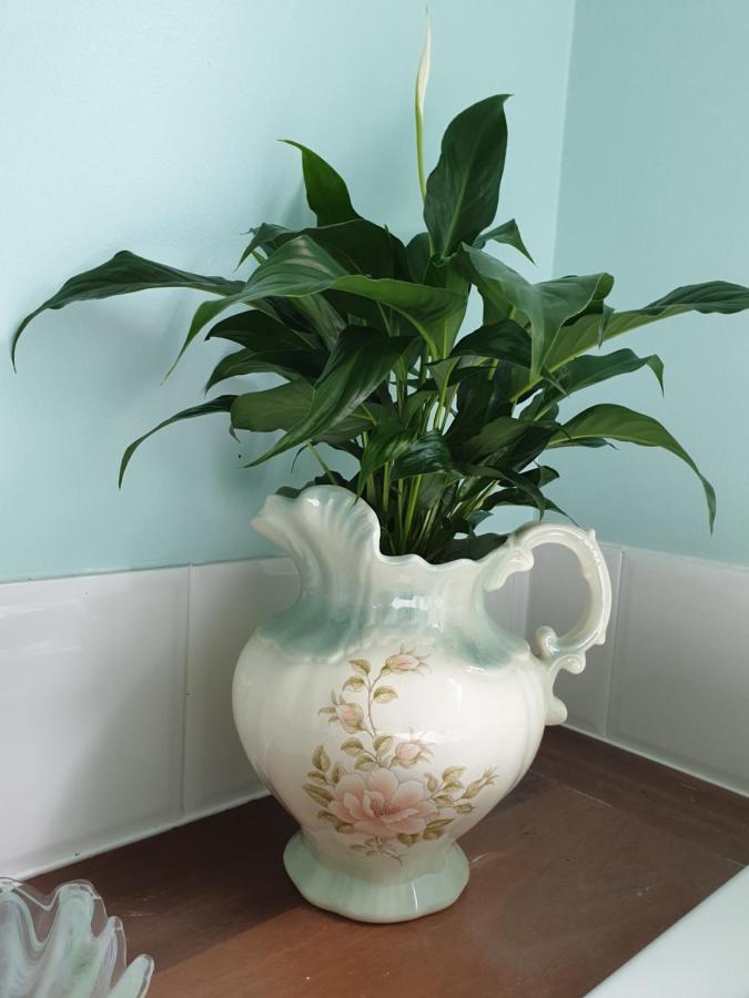 Rosebank Guesthouse Healesville Ngoại thất bức ảnh