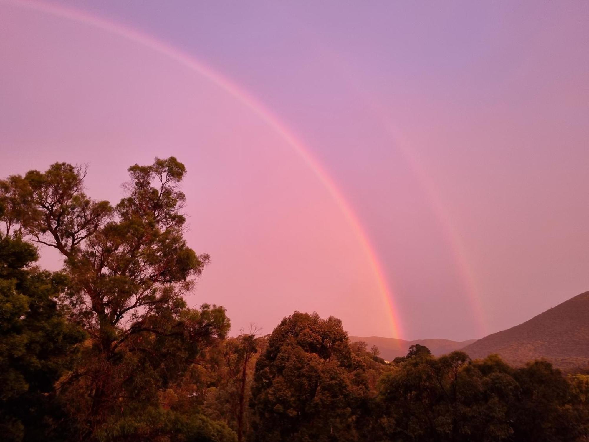 Rosebank Guesthouse Healesville Ngoại thất bức ảnh