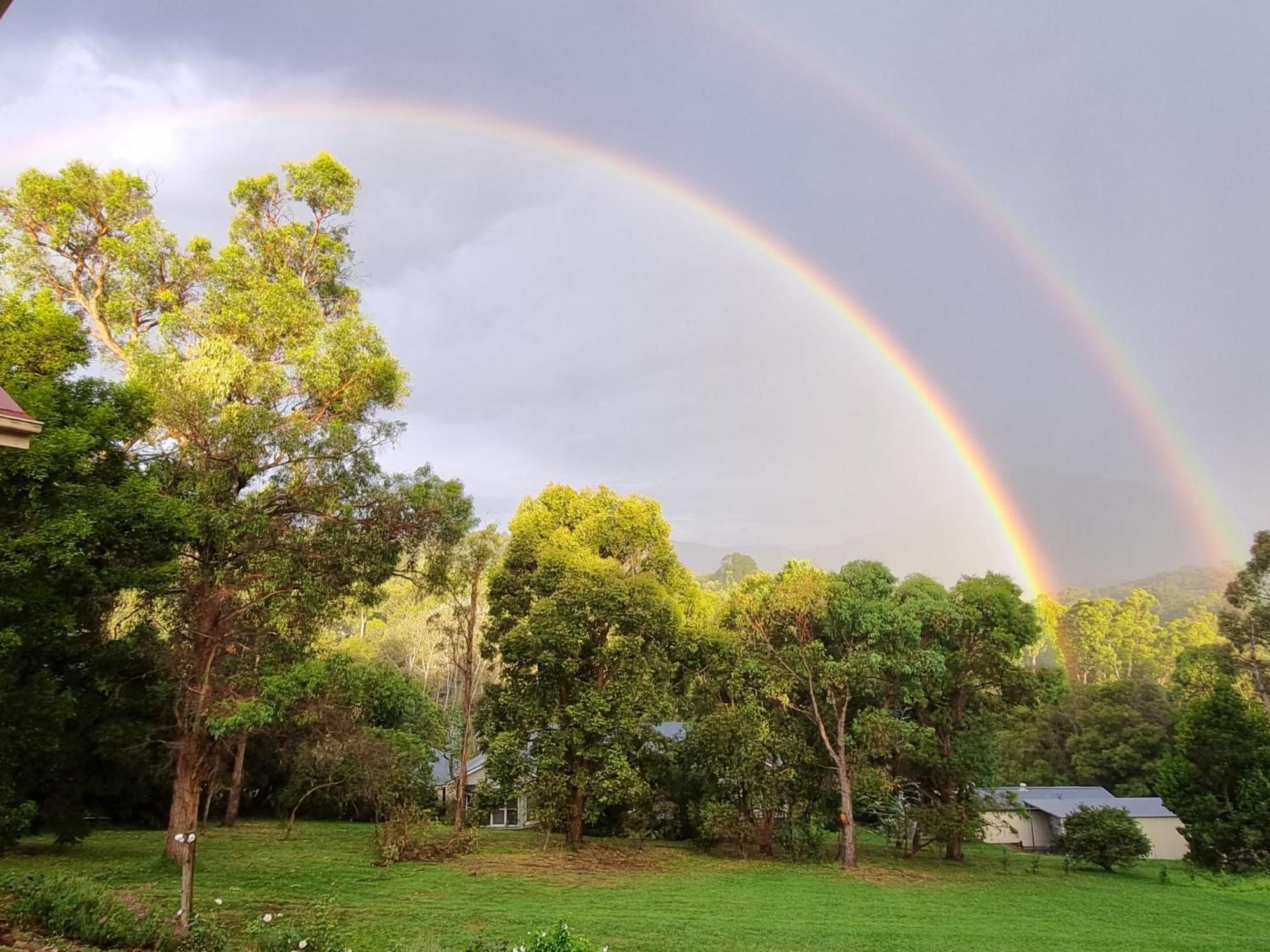 Rosebank Guesthouse Healesville Ngoại thất bức ảnh
